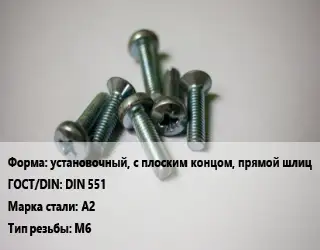 Винт установочный, с плоским концом, прямой шлиц DIN 551 Сталь: A2 М6